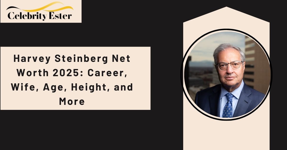 harvey-steinberg-net-worth